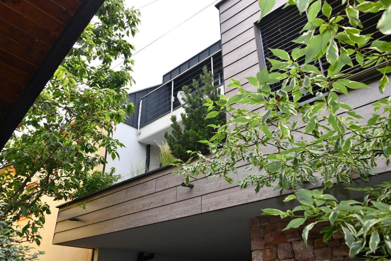Gite Contemporain L'Hirondelle Guemar Exterior photo